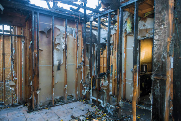 Professional Odor Removal technician working in West Liberty, OH